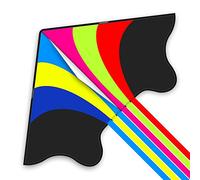 Mint's Colorful Life Delta Kite for Adults, Extremely Easy to Fly Kite (Flying Rainbow)