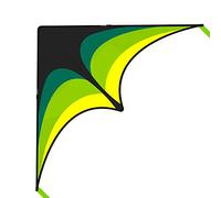 Mint's Colorful Life Delta Kite for Kids & Adults, Extremely Easy to Fly, Best Kites for Beginner