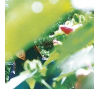 Minuano - Spring Lovers [Vinyl LP] [VINYL]