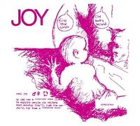 Minutemen – Joy – The Orchard