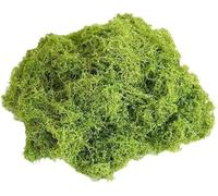 MINWEGI 100g Fake Moss for Home Decor - Lightweight Artificial Moss for Indoor Plant Pots, Easy to Cut Natural Looking Green Moss for Crafts and DIY Projects
