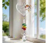 MINWEGI Memorial Gift - Robin Acrylic Hanging Ornament with Crystal Pendant, Sympathy Home Decor for Bereavement, Remembrance Keepsake
