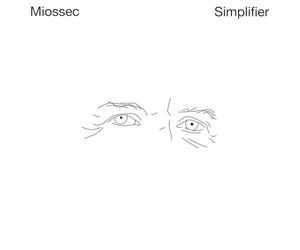 Miossec - Sony Music Entertainment France Simplifier [VINYL]