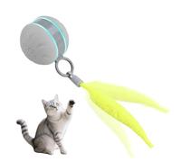 MiOYOOW Interactive Cat Toy Ball, Rechargeable Cats Chasing Ball 3 Modes Tail Pet Toys with Bird Song Sound for Indoor Small Dogs Kitten Exercise