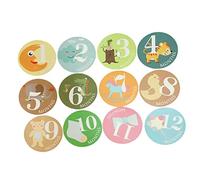 Mipcase 12pcs Milestone Sticker Chic Newborn Photo Prop Label Paper for Shower Stickers Photo Supplies for Newborn Gifts Essentials for