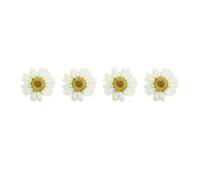 Mipcase 12pcs White Dried Daisy Flowers for Nail Art Decoration DIY Handmade Pressed Flower Accessories for Photo Frame Jewelry Crafting