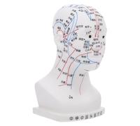Mipcase 20cm Human Head Acupoint Model Medical Facial Acupuncture Point Model for Head Massage Teaching with Four Functional Acupoints White Small Size for Alternative Medicine