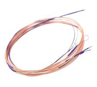 Mipcase 4pcs Chinese Pipa Strings Set Steel Single Strings for Lute Practice Professional Replacement for Chinese Lute Players