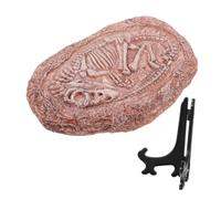 Mipcase Dinosaur Specimen Stone Paleontological Decor for Turtle Habitat Lizard Tank