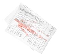 Mipcase Human Anatomy Poster 50x70cm Skeletal Muscle Science Chart on Silk Fabric Educational Body Structure Painting for School and Office