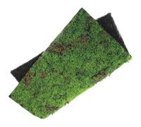 Mipcase Moss Blanket Artificial Moss Turf 30x30cm Green Plastic Sheet for Home Decor and Balconies Maintenance Free and Easy Installation Quality