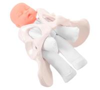 Mipcase Plastic Female Pelvis Childbirth Training Model with Doll and Placenta, Realistic Anatomy with Movable Joints for Nursing Teaching and Pregnancy Education