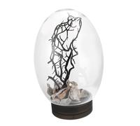 Mipcase Small Goldfish Raiser Desktop Aquarium Led Lights No Water Change Design