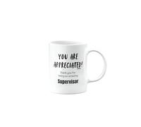MIPOMALL Leaving Mug for Supervisor, Present for Colleague, Appreciation Gift for Men or Women or Friend or boss,You are Appreciated, Thank You for Being an Amazing, mm-CA_145_3