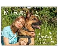 MIRA - PUISSANCE ET ÉLÉGANCE (Calendrier mural 2026 DIN A4 vertical), CALVENDO calendrier mensuel: UN AMOUR DE BERGER ALLEMAND