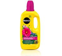 Miracle-Gro Azalea Camellia & Rhododendron Concentrated Liquid Plant Food 800Ml Ericaceous Npk 7-3-5 Growth Formula
