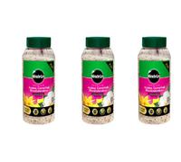 Miracle-Gro Azalea, Camellia & Rhododendron Plant Food 900G Pack Of 3