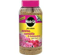 Miracle-Gro Azalea/Camellia/Rhododendron Plant Food Shaker Jar, 1 kg