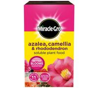 Miracle-Gro Azalea, Camellia & Rhododendron Soluble Plant Food 500g Carton [016801]