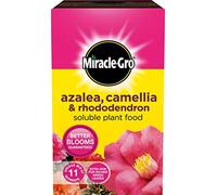 Miracle Gro Azalea, Camellia & Rhododendron Soluble Plant Food 500g Carton (551563)