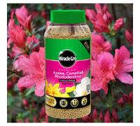 Miracle-Gro Ericaeceous Rhododendron Plant Fertiliser Granules 0.9Kg