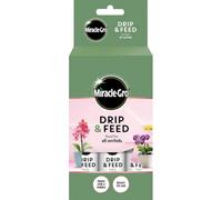 Miracle-Gro Drip & Feed Orchid Pack Of 3 Easy Slow Release Plant Food For Healthy Roots And Longer Flowering
