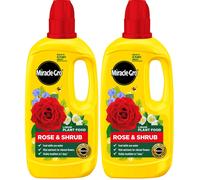 Miracle-Gro Rose & Shrub Concentrated Plant Food, 800 ml (Pack of