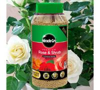 Miracle-Gro Rose Plant Fertiliser Granules 0.9Kg