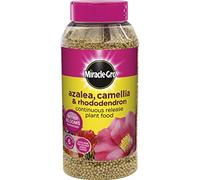 Miracle Gro Slow Release Azalea, Camellia & Rhododendron Plant Food 1kg Shaker Jar (519423)