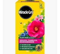 Miracle-Gro Plant Food Granules 900g- Azalea, Camellia, Rhododendron