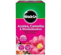 MiracleGro Azalea, Camellia & Rhododendron Soluble Plant Food 1kg - NPK 24-8-16 with Chelated Iron & Micro-nutrients - Ideal for Acid-Loving Plants, Promotes Vibrant Flowers & Healthy Growth