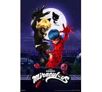 Miraculous Ladybug & Cat Noir Team Up Poster - Cool Wall Art for Girls' Bedroom - 16x24