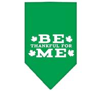 Mirage Be Thankful for Me Screen Print Dog Bandana, Large, Emerald Green