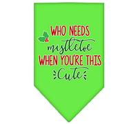 Mirage Pet Products Feeling Batty Screen Print Bandana for Pets, Large, Emerald Green