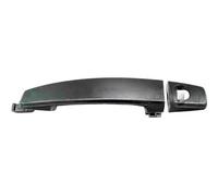 MIRAGLIO 80/609 Door Handle