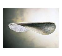 Mirka Autonet 150mm Sanding Discs - Box of 50 (80g - 400g Options)