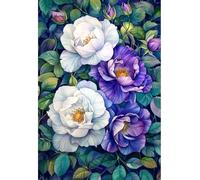 MIRONS 5D Diamond Painting Kits, Flowers Diamond Art Full Drill DIY Kits Pictures for Wall Decor Home Office Decoration 40x50cm