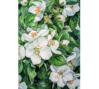 MIRONS Diamond Painting Kits, Flowers Round Full Drill 5D DIY Diamond Art Kits for Home Wall Decor 40x50cm