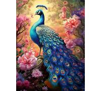 MIRONS Embroidery Kit for Beginners, Peacock with Brilliant Feathers,A,40 * 50cm Stamped Cross Stitch Kit for Adults,Cross Stitching Kits Embroidery Starter Kit for Home Decor 11CT