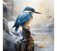MIRONS Full Range of Embroidery Starter Kits, Beautiful Kingfisher,O 40 * 50cm Cross Stitch Kits for Adults Pre-Printed Stamped Embroidery Kit 11CT DIY Craft Kit