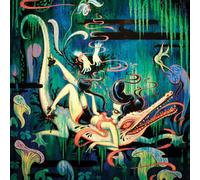 Mirror, Black Mirror Slipcase Edition: The Art of Camille Rose Garcia