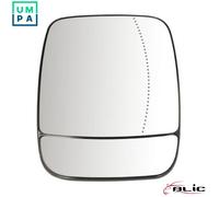 BLIC 6102-02-1291966P Wing mirror glass