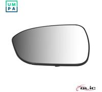 BLIC 6102-15-2465312P Wing mirror glass