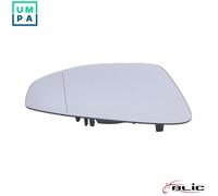 BLIC 6102-25-2320313P Wing mirror glass