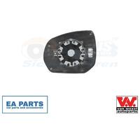 VAN WEZEL 4076838 Wing mirror glass
