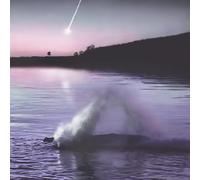 Mirror In The Gleam [VINYL]