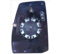 TYC 310-0202-1 Wing mirror glass
