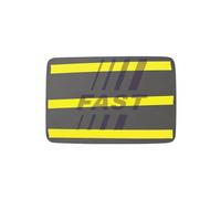 FAST FT88603 Wing mirror glass