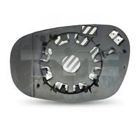 TYC 303-0100-1 Wing mirror glass
