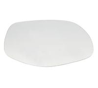 BLIC 6102-29-2002098P Wing mirror glass